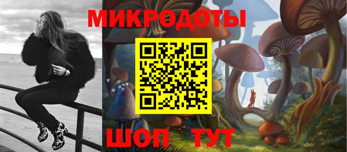 купить   Галлюциногенные грибы мицелий  Вход с VPN  Баксан 